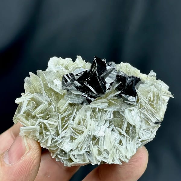 Black cassiterite crystals on pearly muscovite mica from Xuebaoding, Sichuan, China