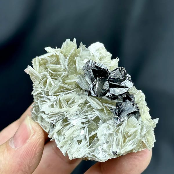 Black cassiterite crystals on pearly muscovite mica from Xuebaoding, Sichuan, China, view 3 of 6