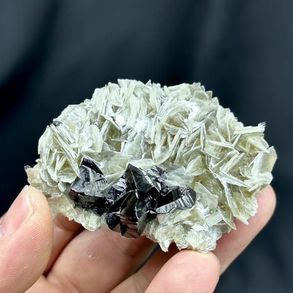 Black cassiterite crystals on pearly muscovite mica from Xuebaoding, Sichuan, China, view 5 of 6