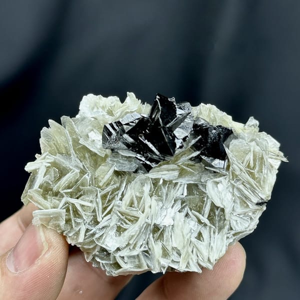 Black cassiterite crystals on pearly muscovite mica from Xuebaoding, Sichuan, China, view 6 of 6
