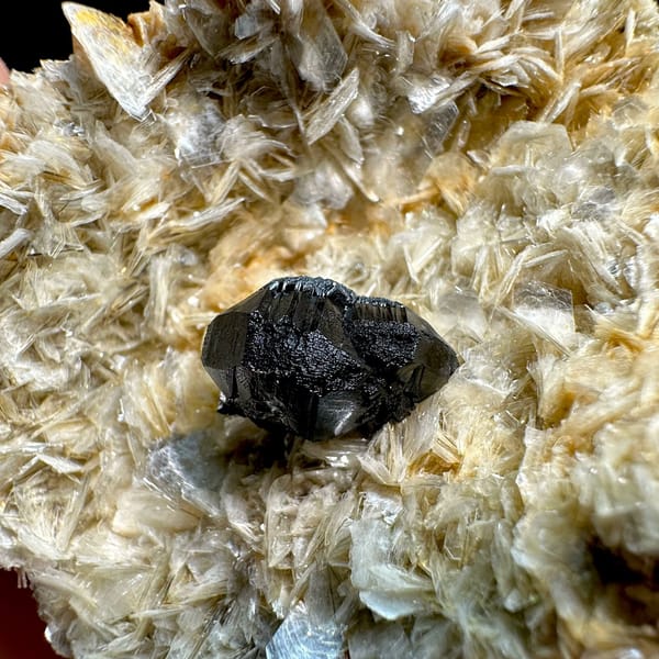 Black cassiterite crystal on pale muscovite mica from Xuebaoding, Sichuan, China, view 2 of 6