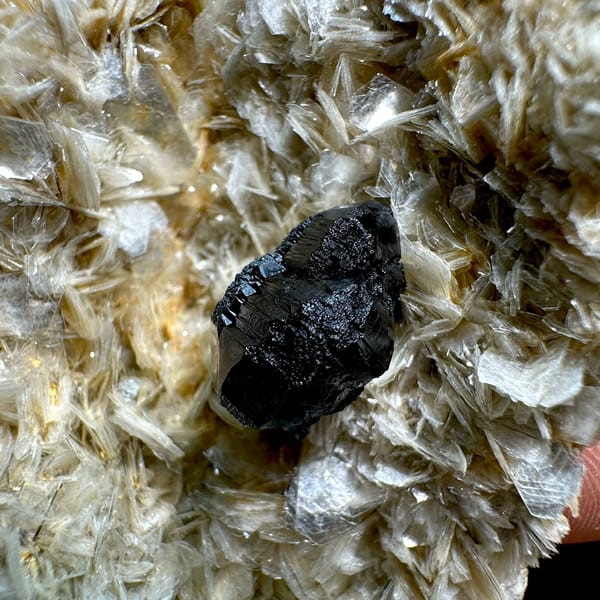 Black cassiterite crystal on pale muscovite mica from Xuebaoding, Sichuan, China, view 3 of 6