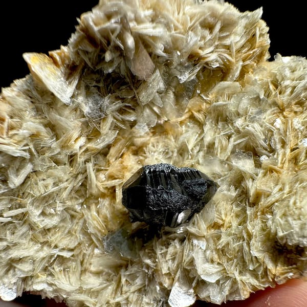 Black cassiterite crystal on pale muscovite mica from Xuebaoding, Sichuan, China, view 4 of 6