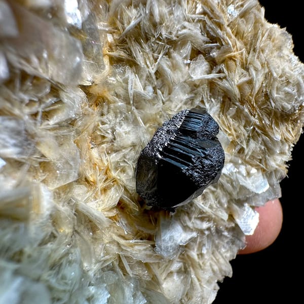 Black cassiterite crystal on pale muscovite mica from Xuebaoding, Sichuan, China, view 5 of 6