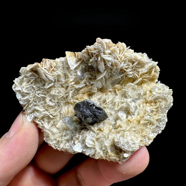 Black cassiterite crystal on pale muscovite mica from Xuebaoding, Sichuan, China, view 6 of 6
