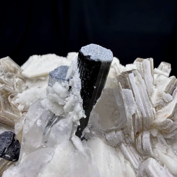 Black schorl prism in white feldspar with bronze mica from Pakistan, view 2 of 6