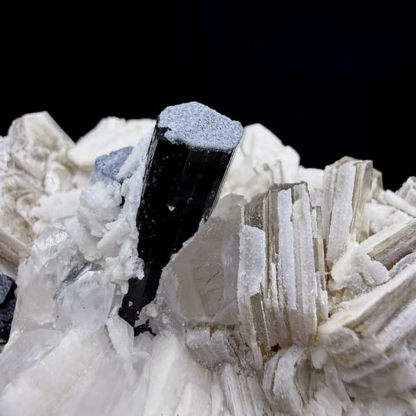 Black schorl prism in white feldspar with bronze mica from Pakistan, view 3 of 6