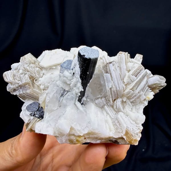 Black schorl prism in white feldspar with bronze mica from Pakistan, view 5 of 6