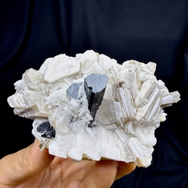 Black schorl prism in white feldspar with bronze mica from Pakistan, view 6 of 6