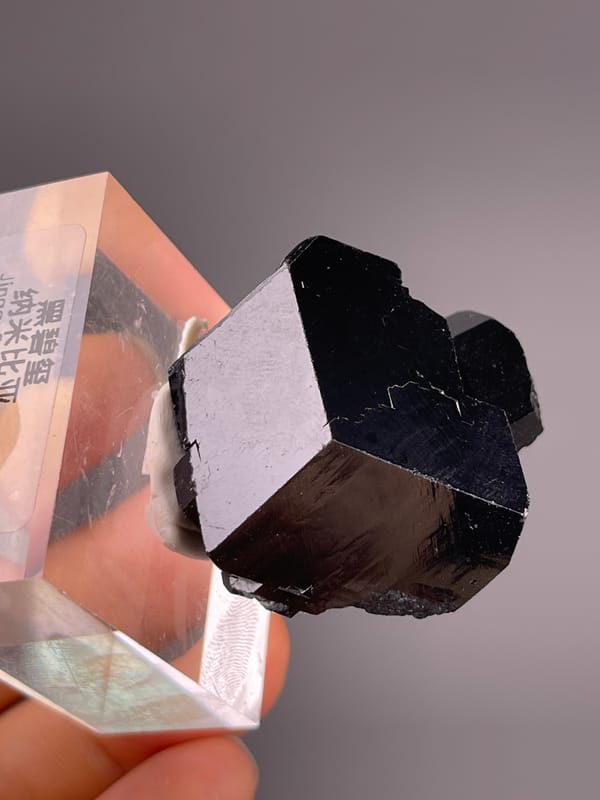 Black Tourmaline specimen from Namibia highlighting black striated prismatic crystals