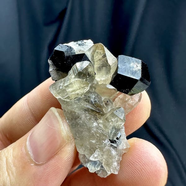 Black tourmaline crystal on pale smoky quartz from Namibia, view 2 of 6