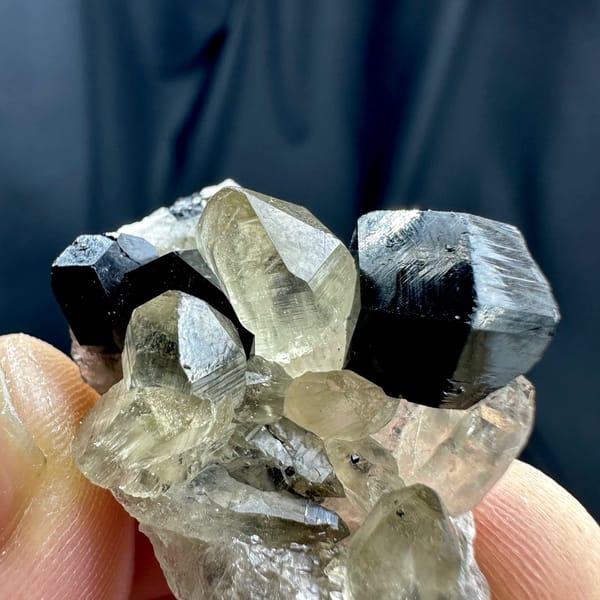 Black tourmaline crystal on pale smoky quartz from Namibia, view 3 of 6