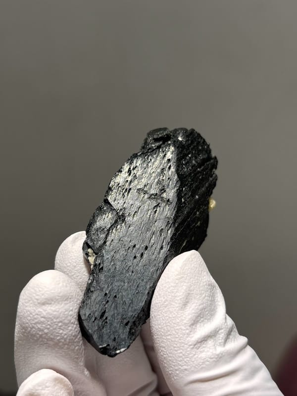 Black wolframite floater blade from Yaogangxian, Hunan, China, view 5 of 5