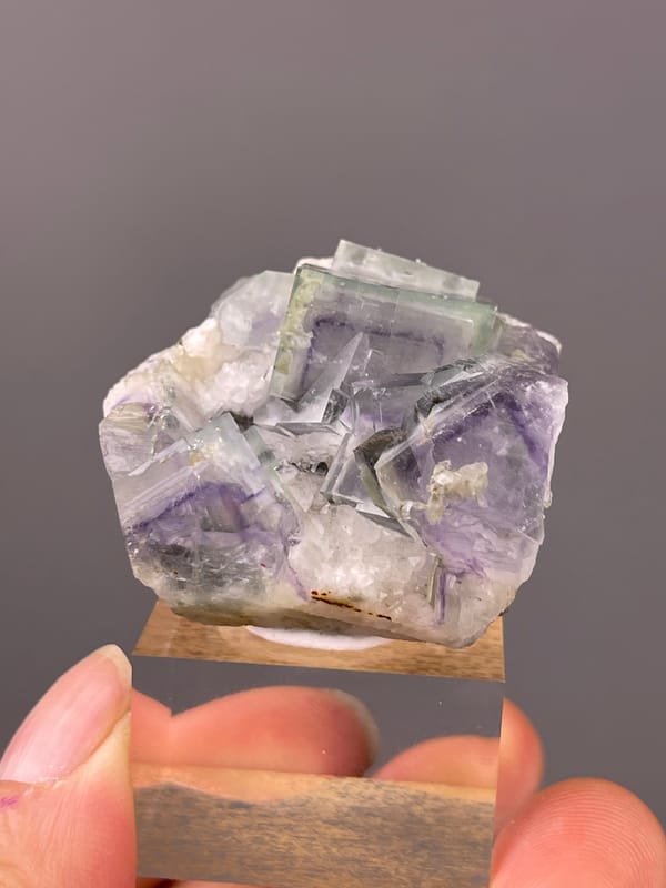 Porcelain Fluorite specimen from Yaogangxian Mine, Hunan, China featuring purple-green zoned cubes in white matrix
