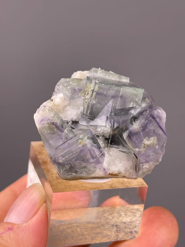 Porcelain Fluorite specimen from Yaogangxian Mine, Hunan, China showing purple-green zoned cubes in white matrix
