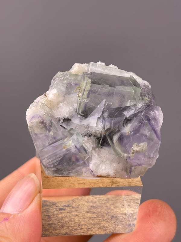 Porcelain Fluorite specimen from Yaogangxian Mine, Hunan, China, defined by purple-green zoned cubes in white matrix