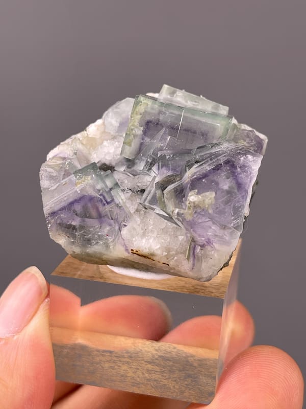 Porcelain Fluorite specimen from Yaogangxian Mine, Hunan, China presenting purple-green zoned cubes in white matrix