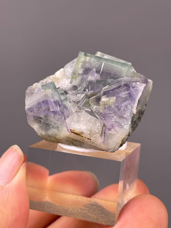 Purple-green zoned cubes in white matrix visible on porcelain fluorite specimen from Yaogangxian Mine, Hunan, China