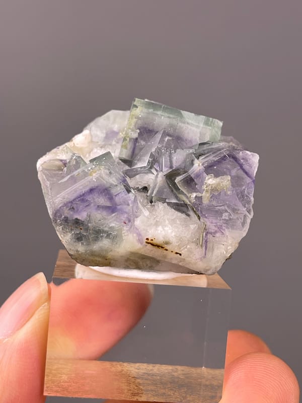 Porcelain Fluorite specimen from Yaogangxian Mine, Hunan, China displaying purple-green zoned cubes in white matrix