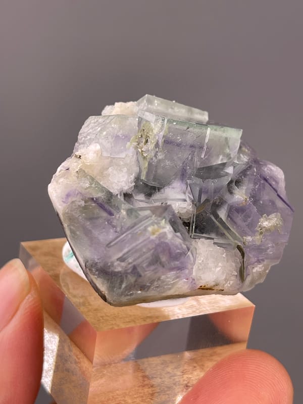 Purple-green zoned cubes in white matrix on natural porcelain fluorite specimen from Yaogangxian Mine, Hunan, China