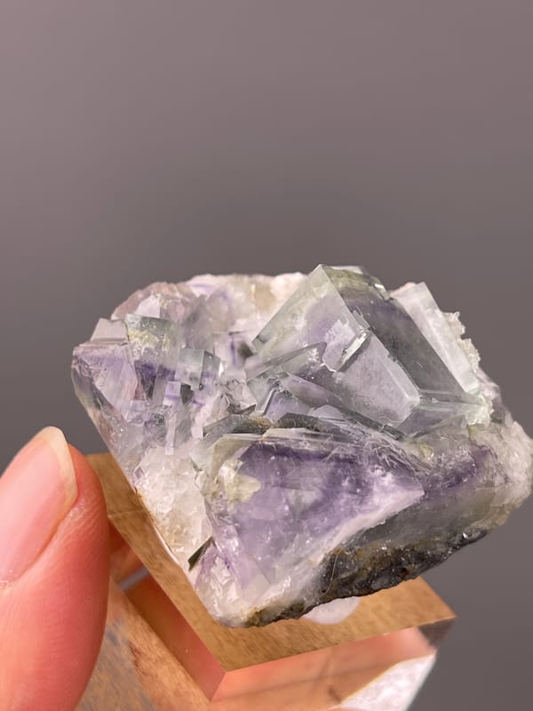 Porcelain Fluorite specimen from Yaogangxian Mine, Hunan, China highlighting purple-green zoned cubes in white matrix