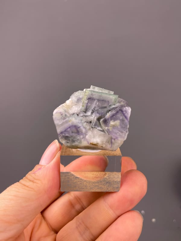 Porcelain Fluorite specimen from Yaogangxian Mine, Hunan, China, characterized by purple-green zoned cubes in white matrix