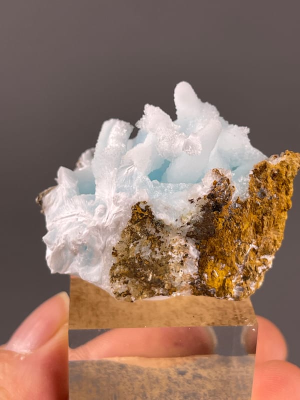 Blue Aragonite specimen from Yunnan, China featuring blue botryoidal base with white blades