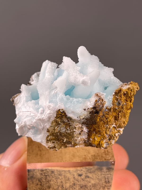 Blue Aragonite specimen from Yunnan, China showing blue botryoidal base with white blades