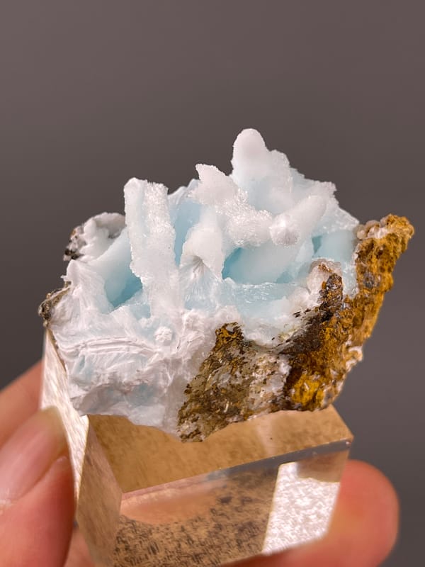 Blue Aragonite specimen from Yunnan, China, defined by blue botryoidal base with white blades