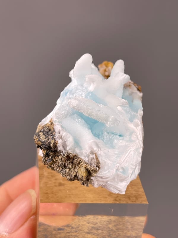 Blue botryoidal base with white blades visible on blue aragonite specimen from Yunnan, China
