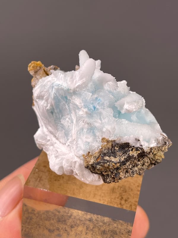 Blue Aragonite specimen from Yunnan, China displaying blue botryoidal base with white blades