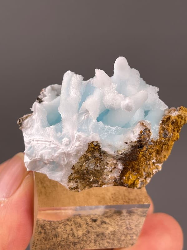 Blue botryoidal base with white blades on natural blue aragonite specimen from Yunnan, China