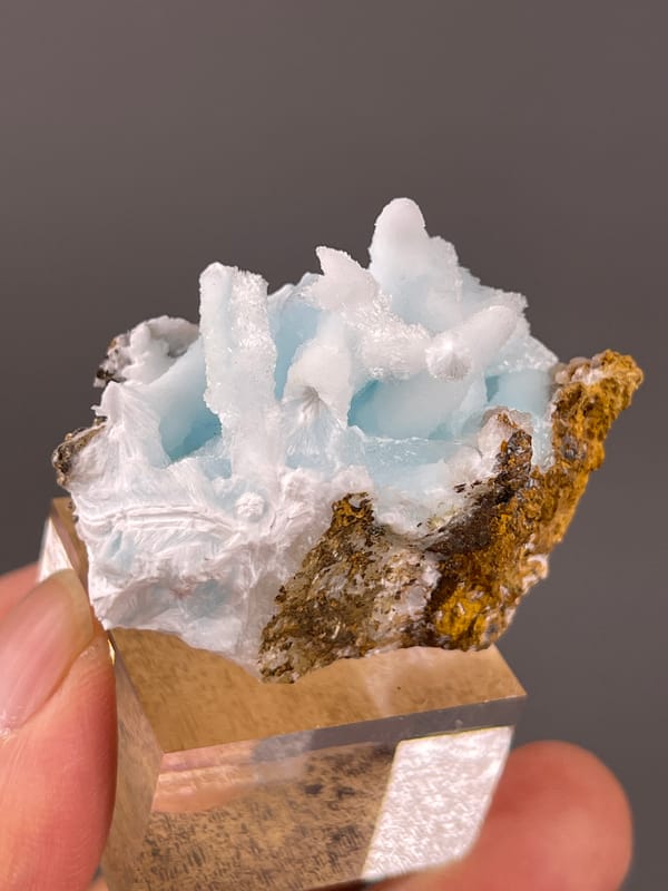 Blue Aragonite specimen from Yunnan, China highlighting blue botryoidal base with white blades