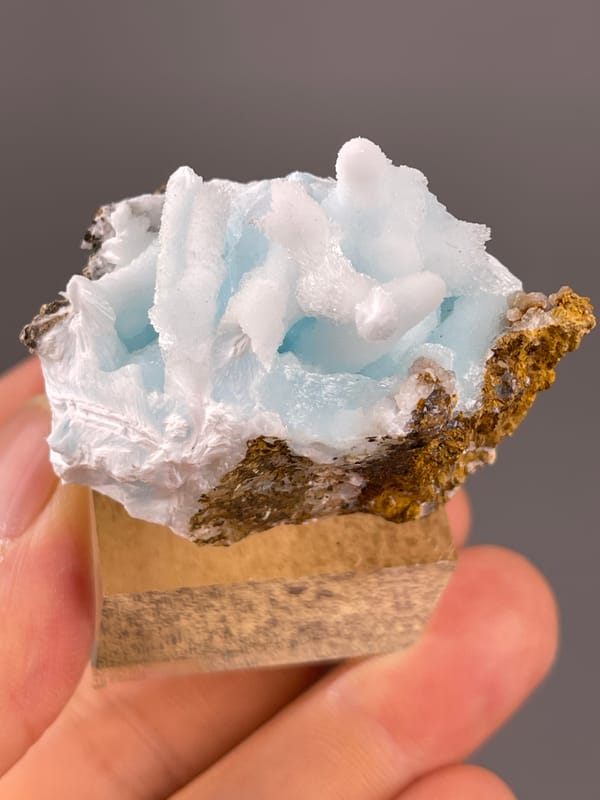 Blue Aragonite specimen from Yunnan, China, characterized by blue botryoidal base with white blades