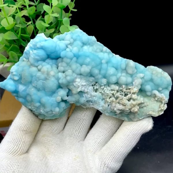 Plate of sky-blue botryoidal aragonite from Yunnan, China