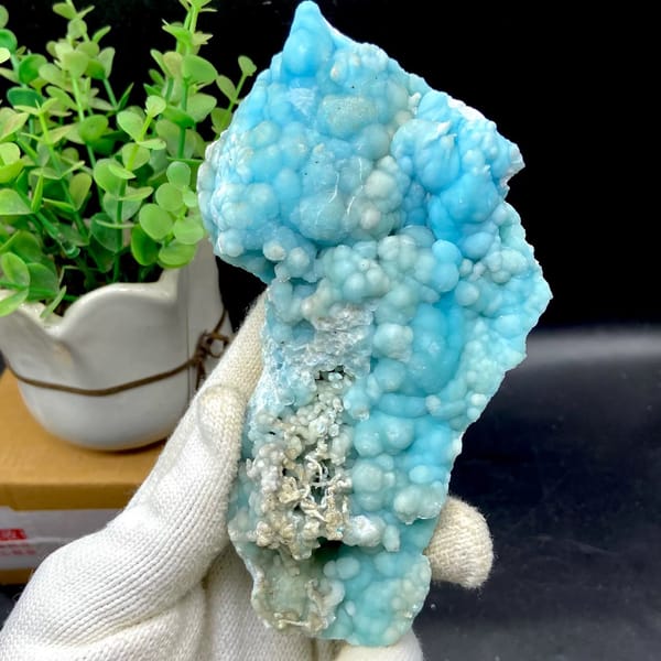 Plate of sky-blue botryoidal aragonite from Yunnan, China, view 2 of 9