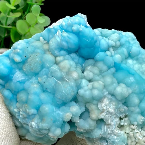 Plate of sky-blue botryoidal aragonite from Yunnan, China, view 3 of 9