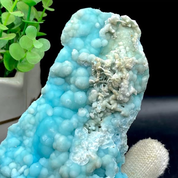 Plate of sky-blue botryoidal aragonite from Yunnan, China, view 5 of 9
