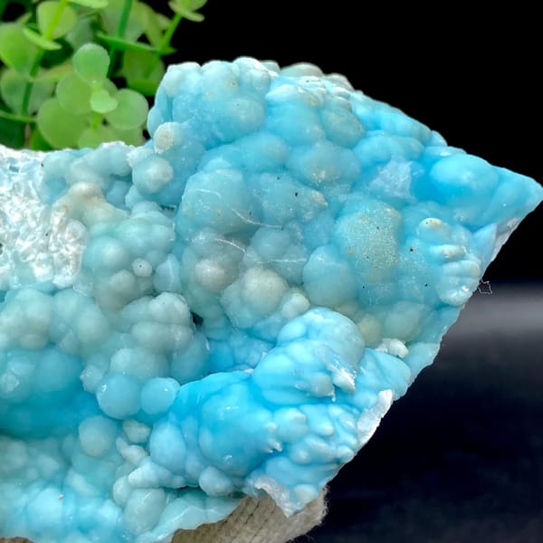 Plate of sky-blue botryoidal aragonite from Yunnan, China, view 6 of 9