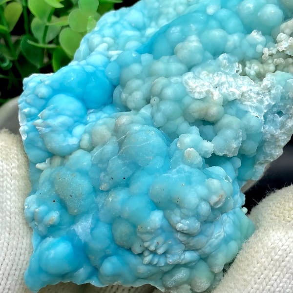 Plate of sky-blue botryoidal aragonite from Yunnan, China, view 7 of 9