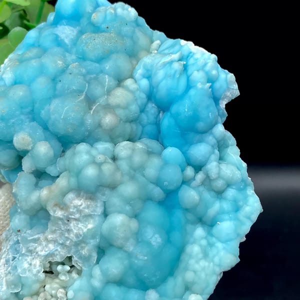 Plate of sky-blue botryoidal aragonite from Yunnan, China, view 8 of 9