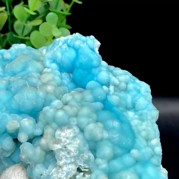Plate of sky-blue botryoidal aragonite from Yunnan, China, view 9 of 9