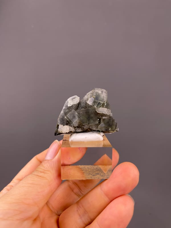 Blue-core Fluorite specimen from Sanming, Fujian, China highlighting gray-green cubes with white quartz