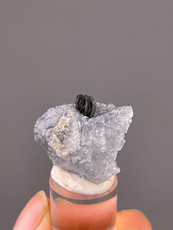 Blue Fluorite specimen from Yaogangxian Mine, Hunan, China, defined by pale lilac fluorite with black blades