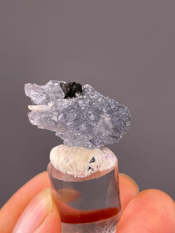Pale lilac fluorite with black blades visible on blue fluorite specimen from Yaogangxian Mine, Hunan, China