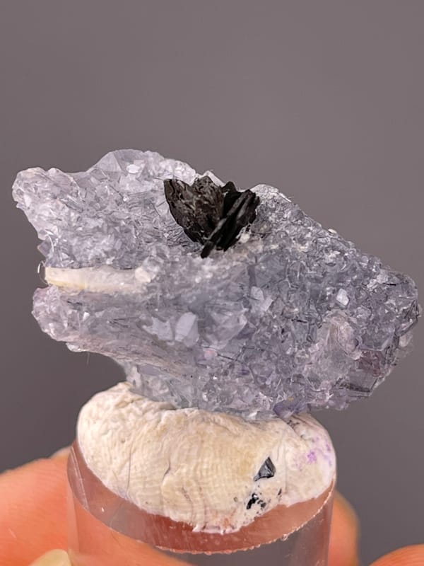Blue Fluorite specimen from Yaogangxian Mine, Hunan, China displaying pale lilac fluorite with black blades