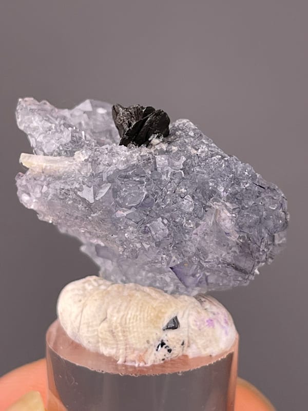 Pale lilac fluorite with black blades on natural blue fluorite specimen from Yaogangxian Mine, Hunan, China