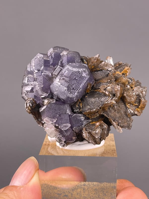 Pale Purple Fluorite specimen featuring pale-purple cubes on brown blades clearly