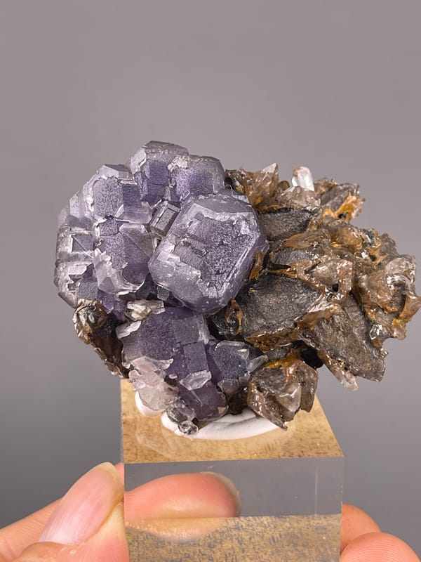 Pale Purple Fluorite specimen showing pale-purple cubes on brown blades distinctly