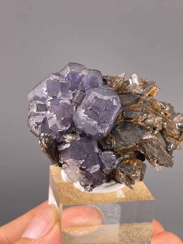 Pale Purple Fluorite specimen defined by visible pale-purple cubes on brown blades